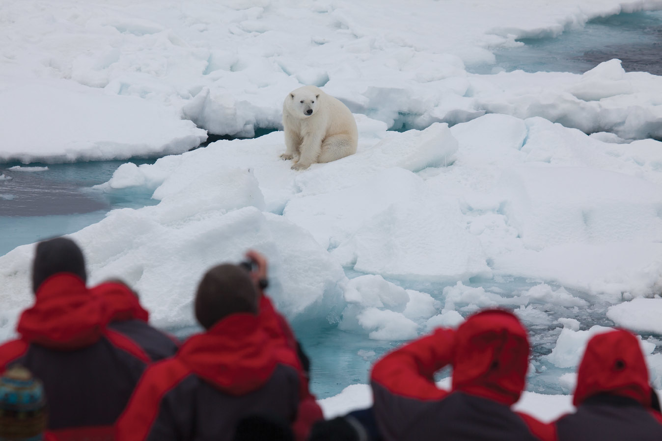 Silversea Cruises - Excursions Expeditions 1.jpg